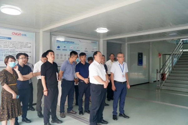 國家發(fā)展改革委綜合運輸研究所所長、研究員汪鳴率調(diào)研組到中偉欽州產(chǎn)業(yè)基地調(diào)研